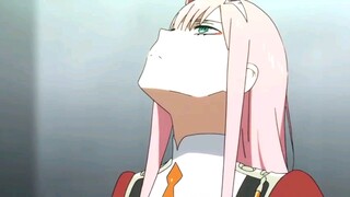 Darling in the FranXX AMV- Shape of you