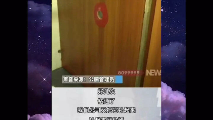 Twin‑screen clip: A科普 on the woodpecker群体 and “bird holes,” which love to migrate and drill holes in