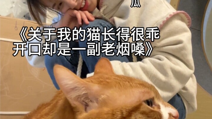 一辆橘色面包车开过来了