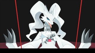[Pokémon] Reshiram: Bound Love {九沾零}
