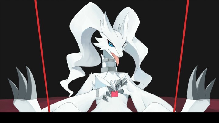 [Elf Pokémon] Reshiram: Cinta Terikat