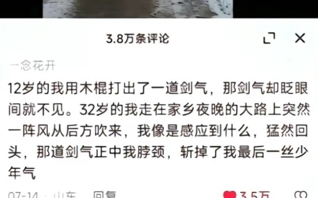 Jika angin musim semi memiliki belas kasih pada bunga, bisakah ia mengabulkan permohonanku untuk kem