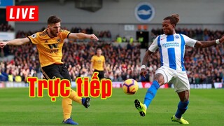 🔴 Trực tiếp Brighton vs Wolves | Vòng 17 Premier League