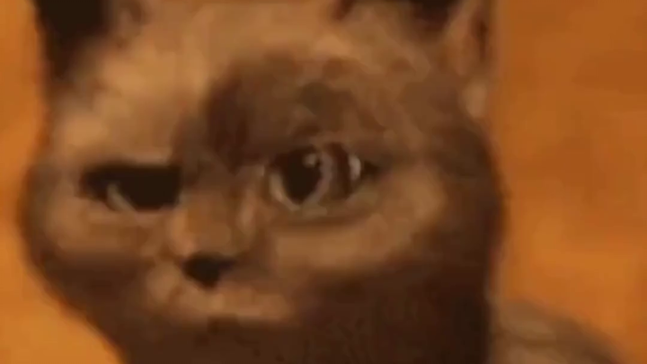 Kura-kura kecil yang turun-temurun diwariskan dalam keluarga oleh netizen asing selama 150 tahun!