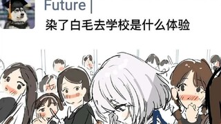 What's it like for Bai Mao to go to school? [Those hilarious memes online]