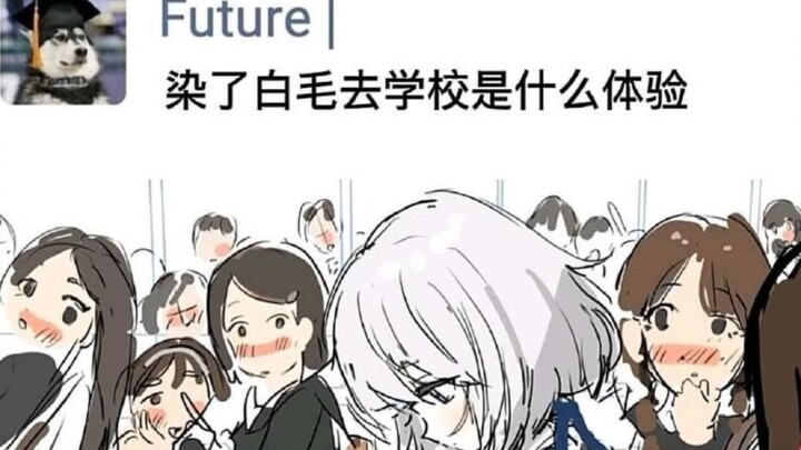 What's it like for Bai Mao to go to school? [Those hilarious memes online]