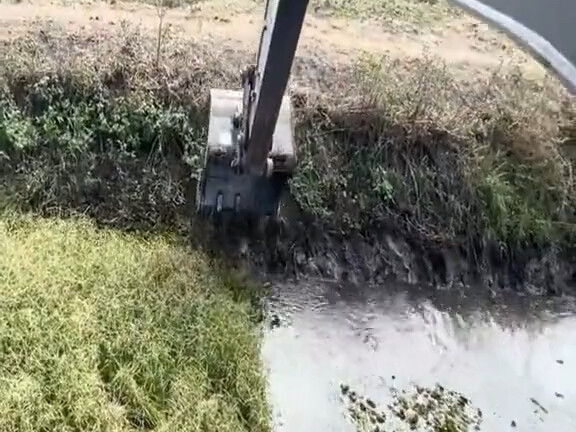 I dug up a swamp puppy!