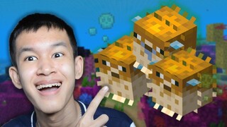 ผมทำฟาร์มปลาปักเป้าใน Minecraft [20]