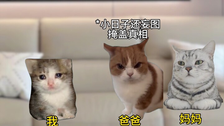 بالقلم سلاحًا.. لنُنصف الأرواح المظلومة