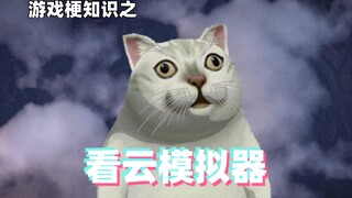 游戏梗知识：看云模拟器