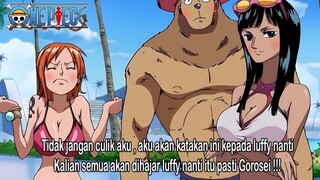 KEJUTAN YANG AKAN ADA DI ONE PIECE MANGA TERBARU!!