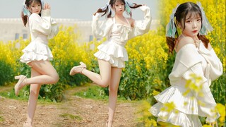 This canola flower is too sweet! Sign for your spring♥【Lulu】