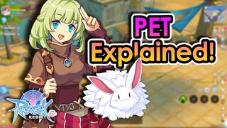 [ROR] All You Need to Know About Pet | King Spade