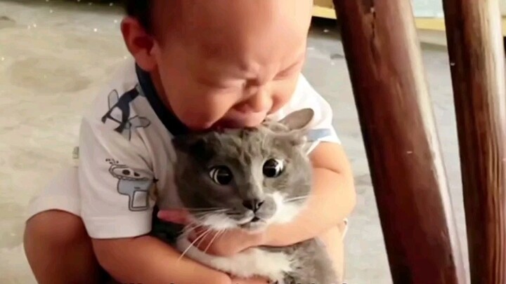 Cat: I can’t stay in this house anymore. I want to wander around. You can see that the cat has colla