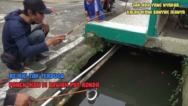 REJEKI TAK TERDUGA !! Gak Ada yang Nyangka Kalau Di Bawah Pos Ronda Ini Jadi Sarang Ikan