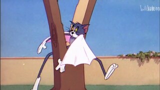 Tunjukkan Yukina Tom Kucing