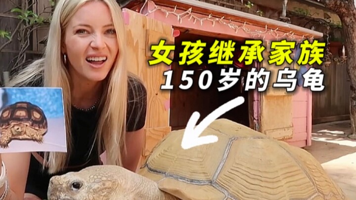 Satu kura-kura mewariskan tiga generasi, orang pergi tetapi kura-kura masih ada, kura-kura selebriti