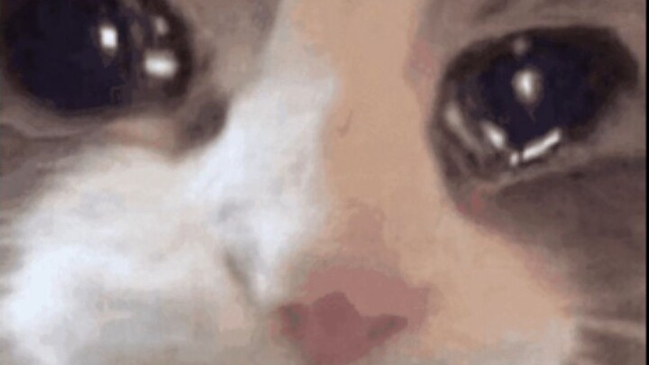 น้องชายจะจดจำช่วงเวลาแห่งนี้ไปตลอดชีวิต เมื่อพี่ชายเลือกเขา