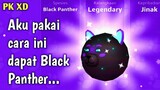 Aku pakai cara ini dapat Pet Legendary Black Panther di PK XD