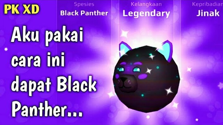 Aku pakai cara ini dapat Pet Legendary Black Panther di PK XD
