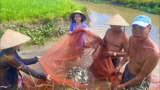 Kéo Lưới Trên Cánh Đồng, Cả Nhà Quây Quần Thưởng Thức Cá Lòng Tong Chiên Bột Cuốn Rau Vườn |NĐMT#272