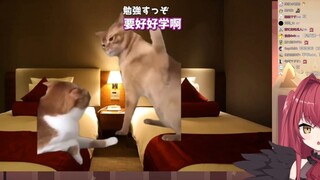 【魔狼咪莉娅】咪莉亚看中国不同方言的区别，就连中国人也听不懂了