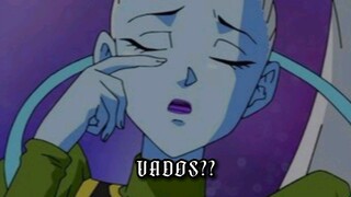 Vados or Macarita?