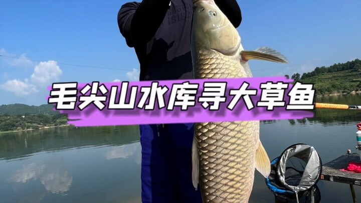 Exploring Maotianshan Reservoir to fish for large grass carp.