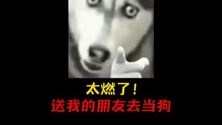 太燃了！我要送我的朋友去当狗！