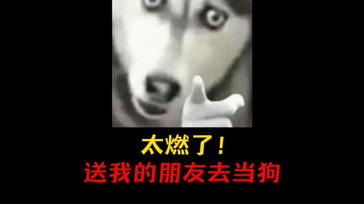 هذا مثيرٌ جدًا! أريد أن أرسل صديقي ليكون كلبًا!