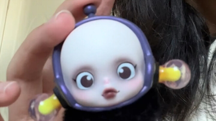 ภาคต่อของกล่องสุ่ม SP, เปิดกล่องลุ้นหัวโล้นแวววาว