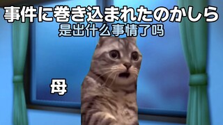 【熟/猫meme】名侦探猫妈妈与奇怪的邻居（1）