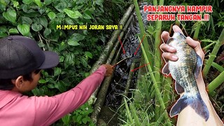 M4MPUS NIH JORAN SAYA !! DIHAJAR MONSTER NILEM TERBESAR DI SELOKAN KECIL!!