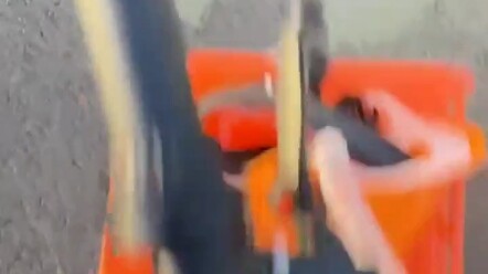 Mungkin tidak terlalu pintar, tapi berani sekali!