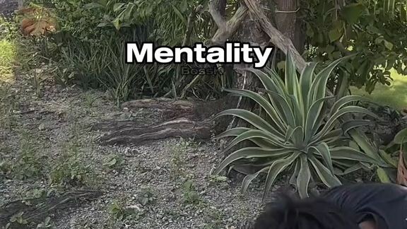 mentality