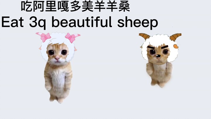 Kucing croissant, tapi Arigatou Mayu-chan!