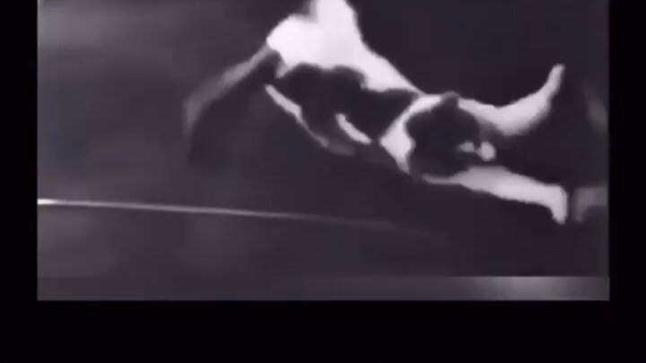 Phản ứng của động vật trong môi trường không trọng lực