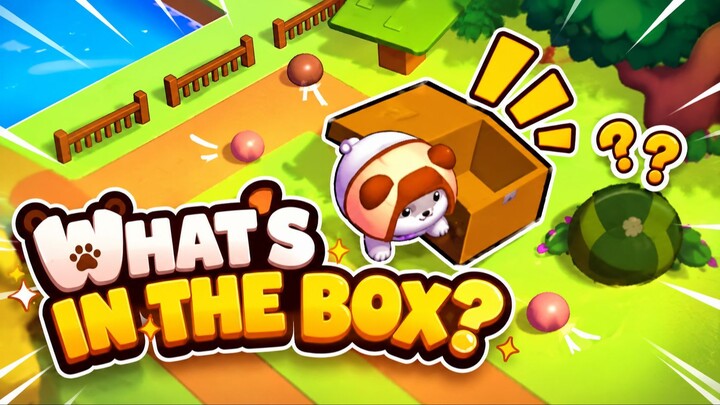 🎁 WHAT’S HIDING IN THE BOX?! 👀🐻
