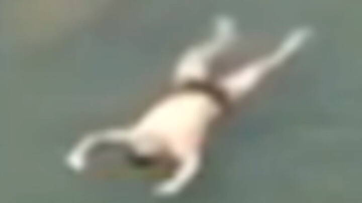 ฟันเฟืองแห่งโชคชะตาเกือบจะหมุนไม่ออกเลยนะเว้ย