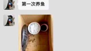 คำอธิบายอันศักดิ์สิทธิ์ของปรมาจารย์อินเทอร์เน็ต 4