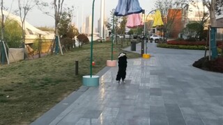 “我就要这朵花是为我开的。”