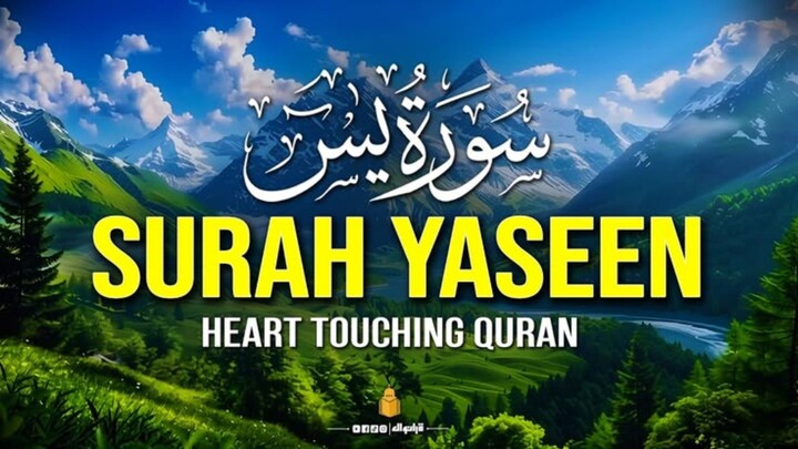 Surah Yaseen Tilawaty Quran  (mudasir.vlog1)