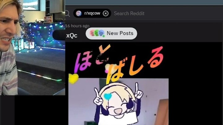 xQc looked at the two-dimensional xQc made by fans and looked disgusted