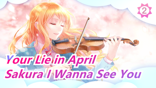 [Your Lie in April] Sakura I Wanna See You_2
