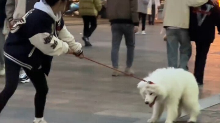 Doggy: As long as I’m not awkward, then the one who’s awkward must be you!