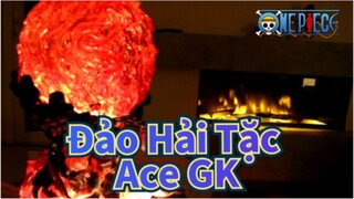 [Đảo Hải Tặc/Tsume/4K] Ace Entei, Đập hộp