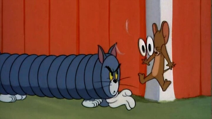 ☝🤓قطة شريط!!!⚡⚡⚡