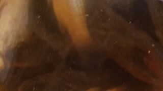 #fish