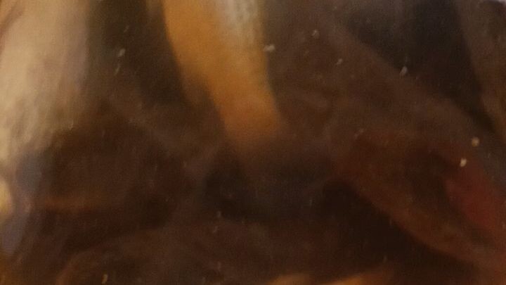 #fish
