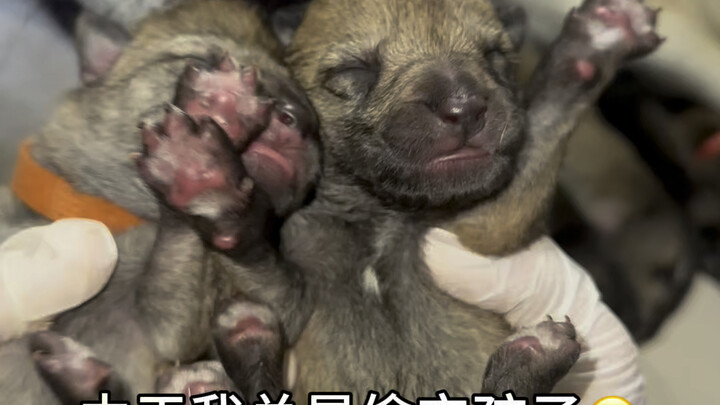 Done. I can’t touch it anymore, kid 😭…